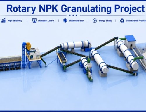 100TPD NPK granule production factory in indonesia